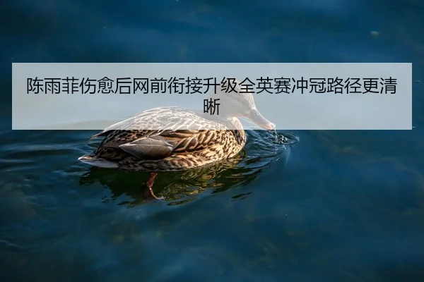 陈雨菲伤愈后网前衔接升级全英赛冲冠路径更清晰